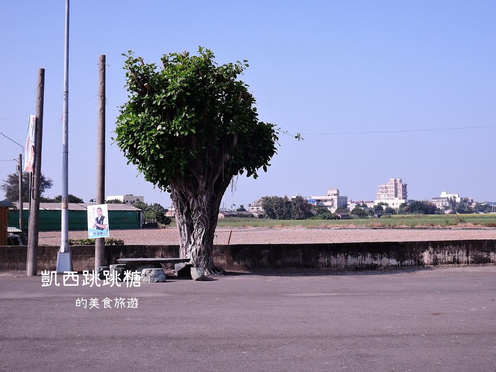 凱西跳跳糖 雲林水林 烏克麗麗 小日月潭531.JPG