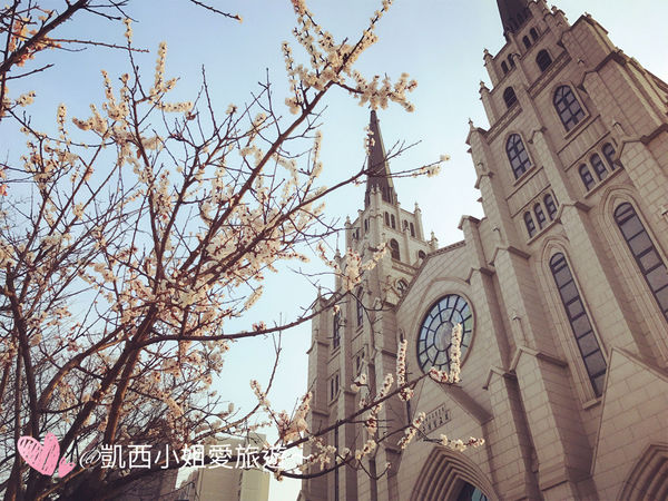 ［韓國］大邱必遊景點！櫻花配教堂，小而驚艷的《青蘿之丘》청라언덕