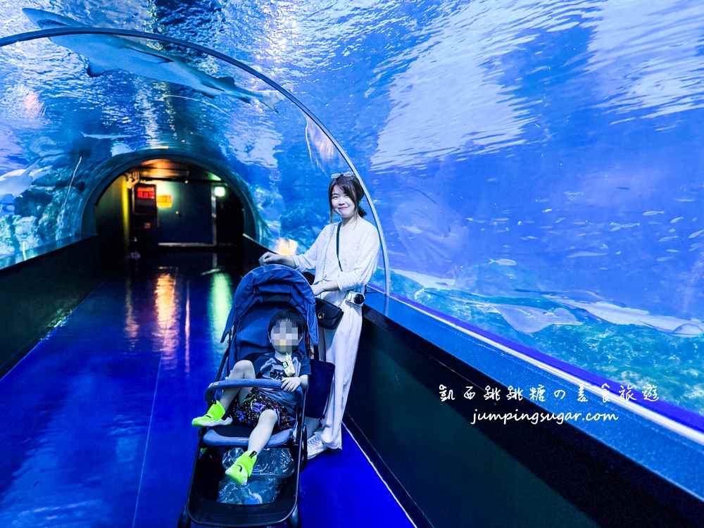 【韓國首爾】Coex Aquarium 韓國最大室內水族館！全年無休含交通門票資訊(首爾轉轉卡行程)