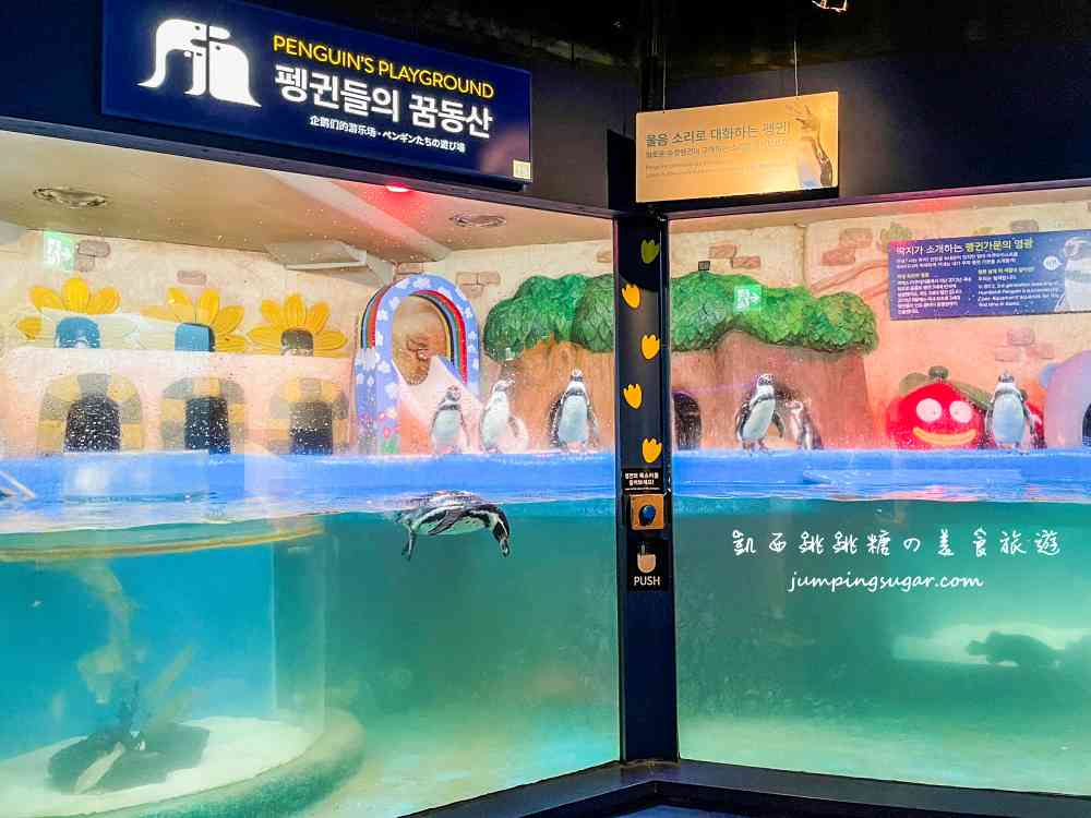 【韓國首爾】Coex Aquarium 韓國最大室內水族館！全年無休含交通門票資訊(首爾轉轉卡行程)