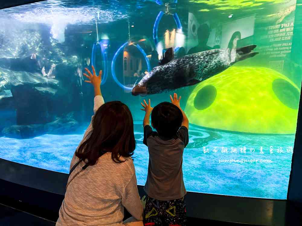 【韓國首爾】Coex Aquarium 韓國最大室內水族館！全年無休含交通門票資訊(首爾轉轉卡行程)