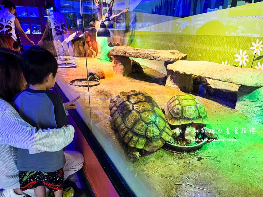 【韓國首爾】Coex Aquarium 韓國最大室內水族館！全年無休含交通門票資訊(首爾轉轉卡行程)