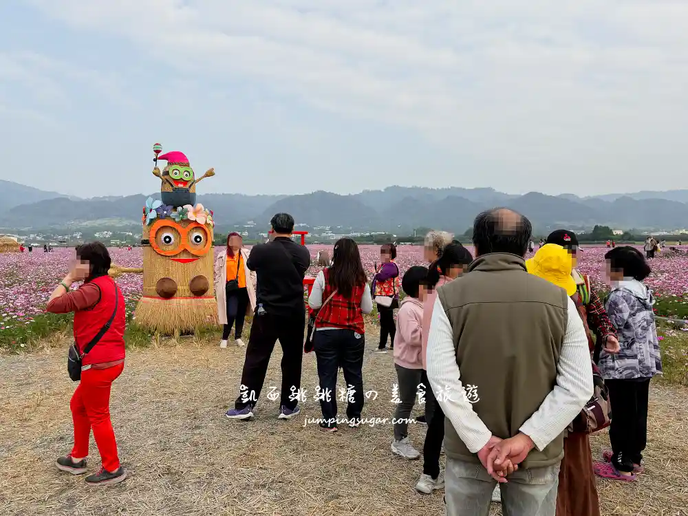 【彰化】田中望高寮花海季，8萬株波斯菊盛開超壯觀 !