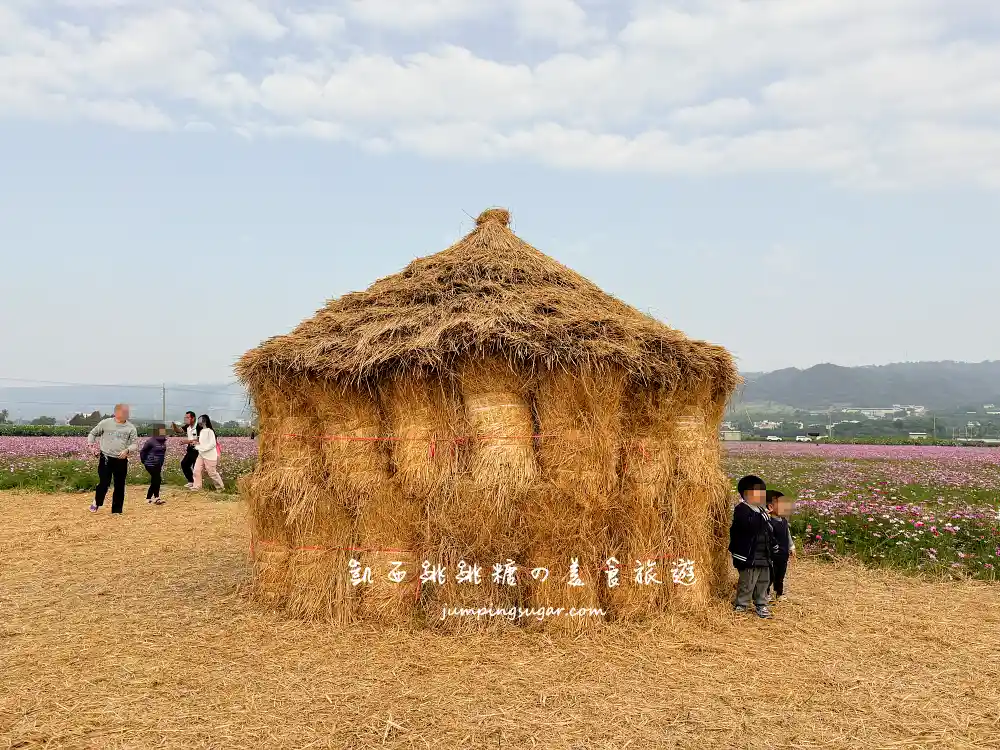 【彰化】田中望高寮花海季，8萬株波斯菊盛開超壯觀 !