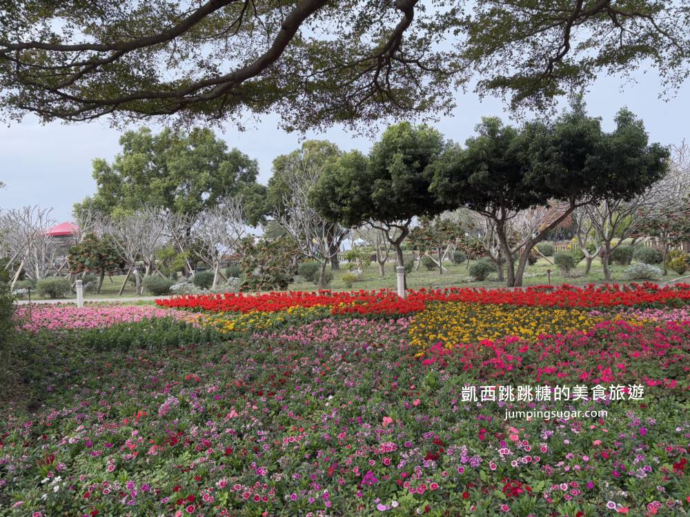 2025彰化溪州公園「花在彰化」免門票賞花餵魚超推薦