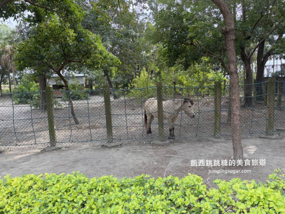 2025彰化溪州公園「花在彰化」免門票賞花餵魚超推薦