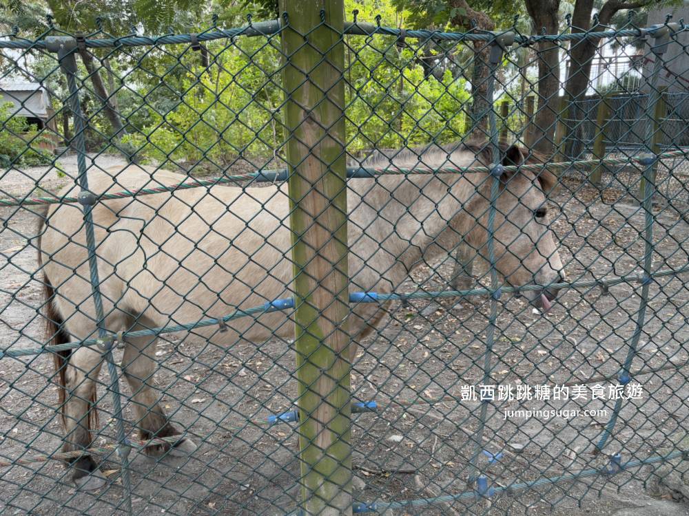 2025彰化溪州公園「花在彰化」免門票賞花餵魚超推薦