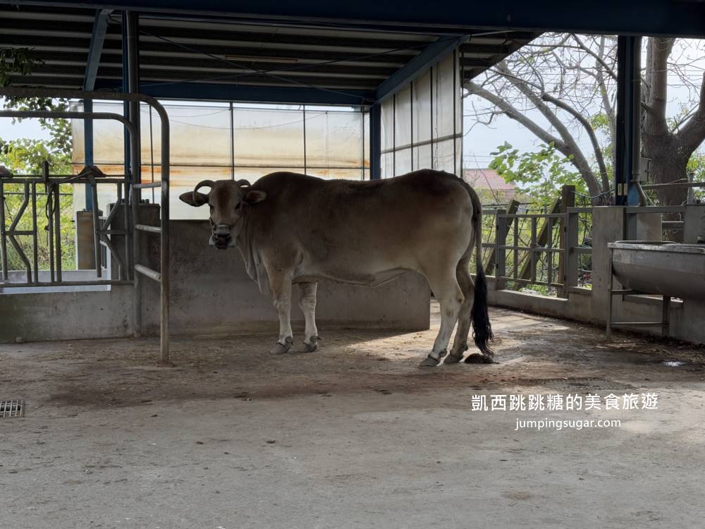 2025彰化溪州公園「花在彰化」免門票賞花餵魚超推薦