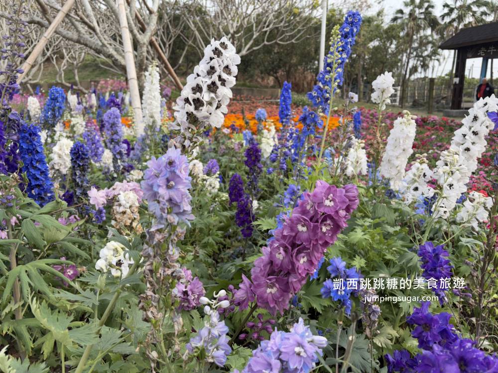 2025彰化溪州公園「花在彰化」免門票賞花餵魚超推薦