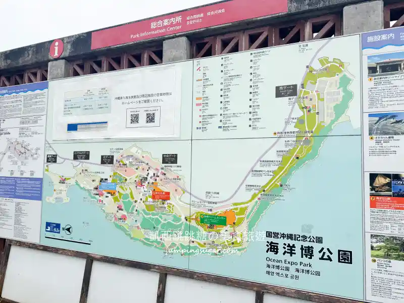 2025沖繩美麗海水族館必看 ! 隱藏亮點、省錢密技大公開~