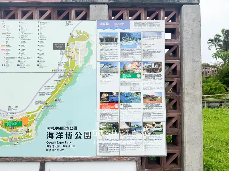 2025沖繩美麗海水族館必看 ! 隱藏亮點、省錢密技大公開~