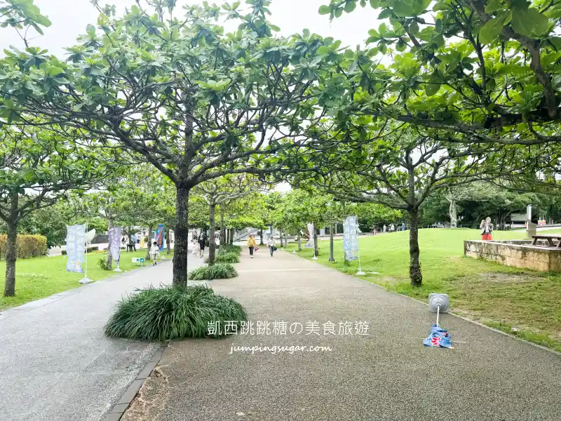 2025沖繩美麗海水族館必看 ! 隱藏亮點、省錢密技大公開~