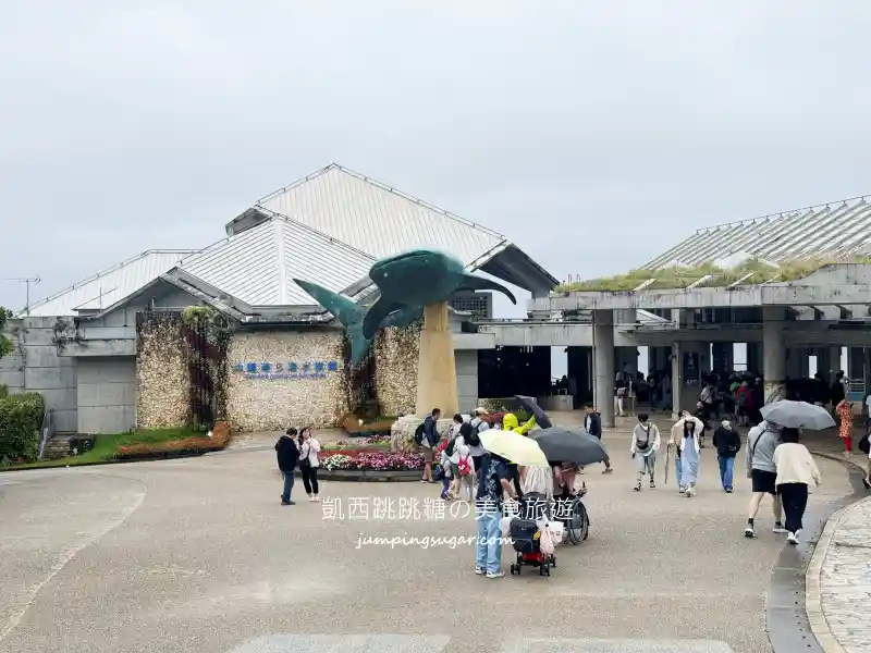 2025沖繩美麗海水族館必看 ! 隱藏亮點、省錢密技大公開~