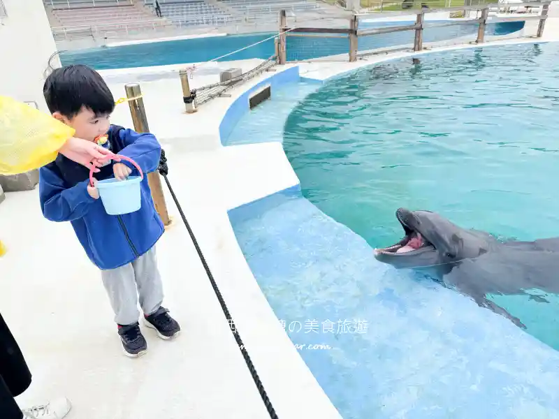 2025沖繩美麗海水族館必看 ! 隱藏亮點、省錢密技大公開~