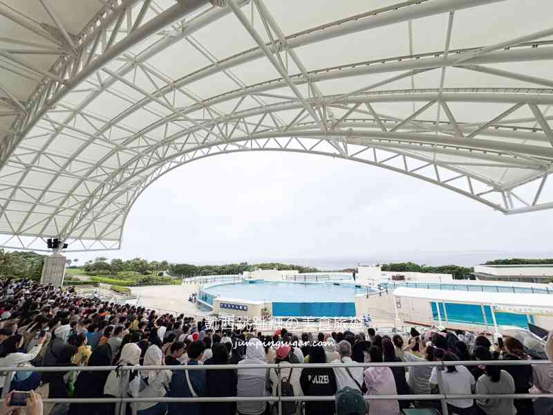 2025沖繩美麗海水族館必看 ! 隱藏亮點、省錢密技大公開~