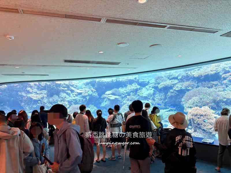 2025沖繩美麗海水族館必看 ! 隱藏亮點、省錢密技大公開~