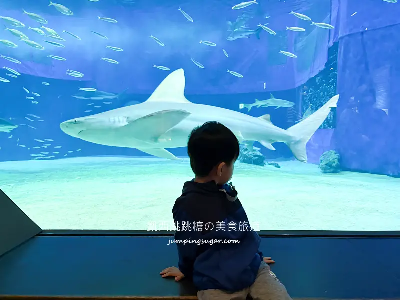 日本沖繩一日遊這樣安排 ! 輕鬆玩古宇利島、美麗海水族館、美國村與萬座毛(含門票中文導覽)