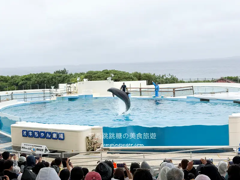 日本沖繩一日遊這樣安排 ! 輕鬆玩古宇利島、美麗海水族館、美國村與萬座毛(含門票中文導覽)