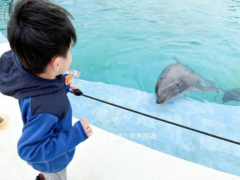 日本沖繩一日遊這樣安排 ! 輕鬆玩古宇利島、美麗海水族館、美國村與萬座毛(含門票中文導覽)