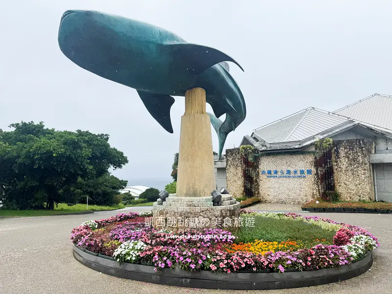 日本沖繩一日遊這樣安排 ! 輕鬆玩古宇利島、美麗海水族館、美國村與萬座毛(含門票中文導覽)