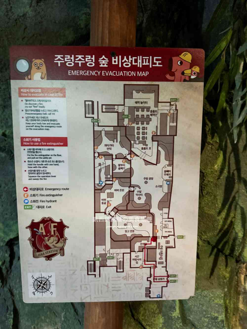 【首爾親子景點推薦】Zoolung Zoolung室內動物園，互動餵食太好玩
