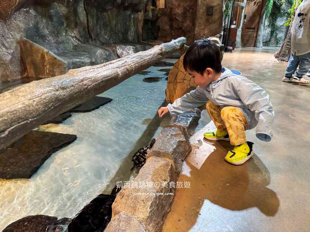 【首爾親子景點推薦】Zoolung Zoolung室內動物園，互動餵食太好玩