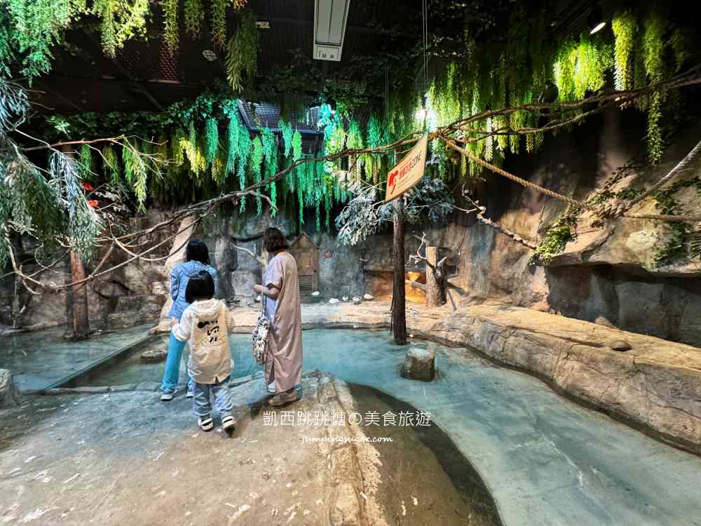 【首爾親子景點推薦】Zoolung Zoolung室內動物園，互動餵食太好玩