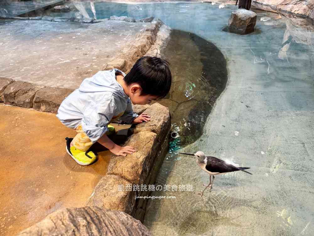 【首爾親子景點推薦】Zoolung Zoolung室內動物園，互動餵食太好玩