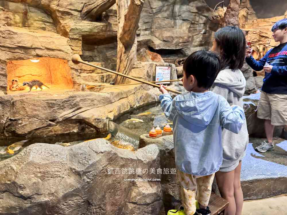 【首爾親子景點推薦】Zoolung Zoolung室內動物園，互動餵食太好玩