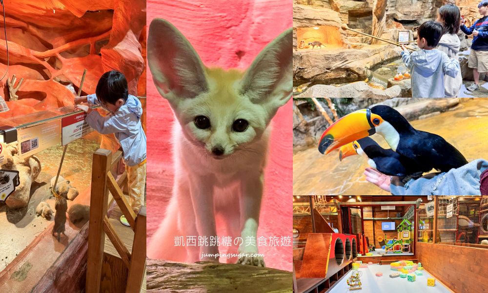 【首爾親子景點推薦】Zoolung Zoolung室內動物園，互動餵食太好玩