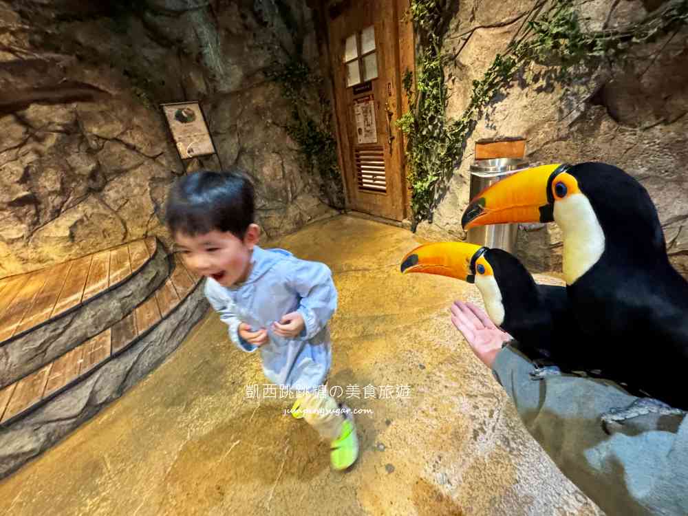 【首爾親子景點推薦】Zoolung Zoolung室內動物園，互動餵食太好玩