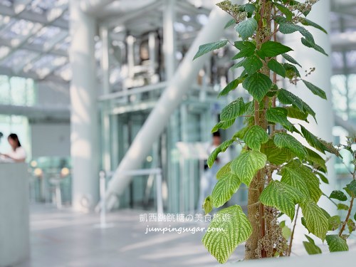 台南親子兩天一夜攻略！百年運河、最強夜市、住宿景點一次搞定