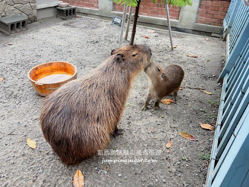台南親子兩天一夜攻略！百年運河、最強夜市、住宿景點一次搞定